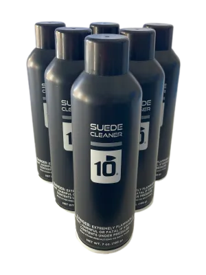 10 Seconds ® Proline Suede Cleaner