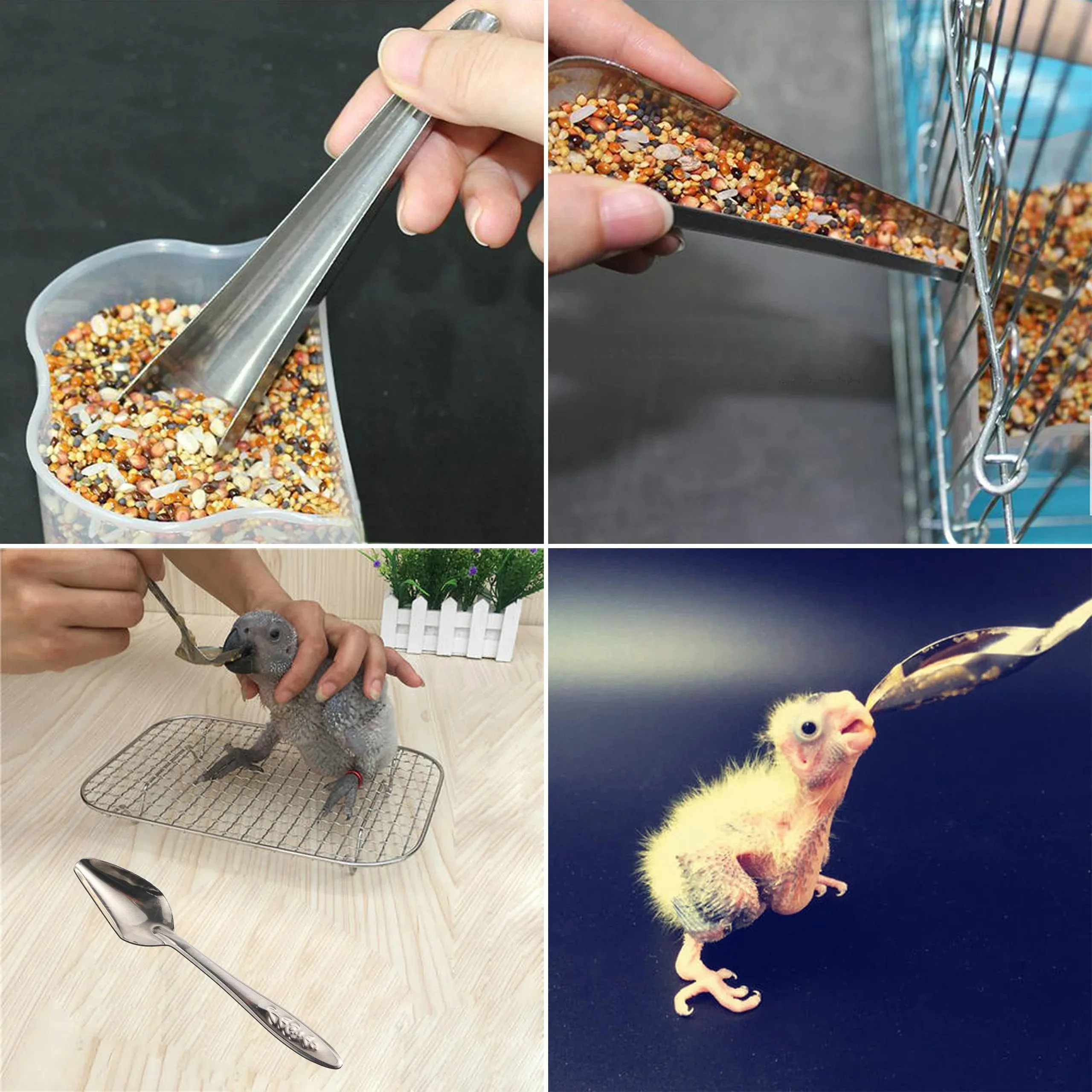 Bird Feeding Tool Pet Bird Parrot Bird Cage Stainless Steel Feeder Stainless Steel Bird Food Spoon Feeding Bird Supplies