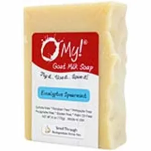 Clay Dry Deodorant Sandalwood 2.5 Oz By Zion Health