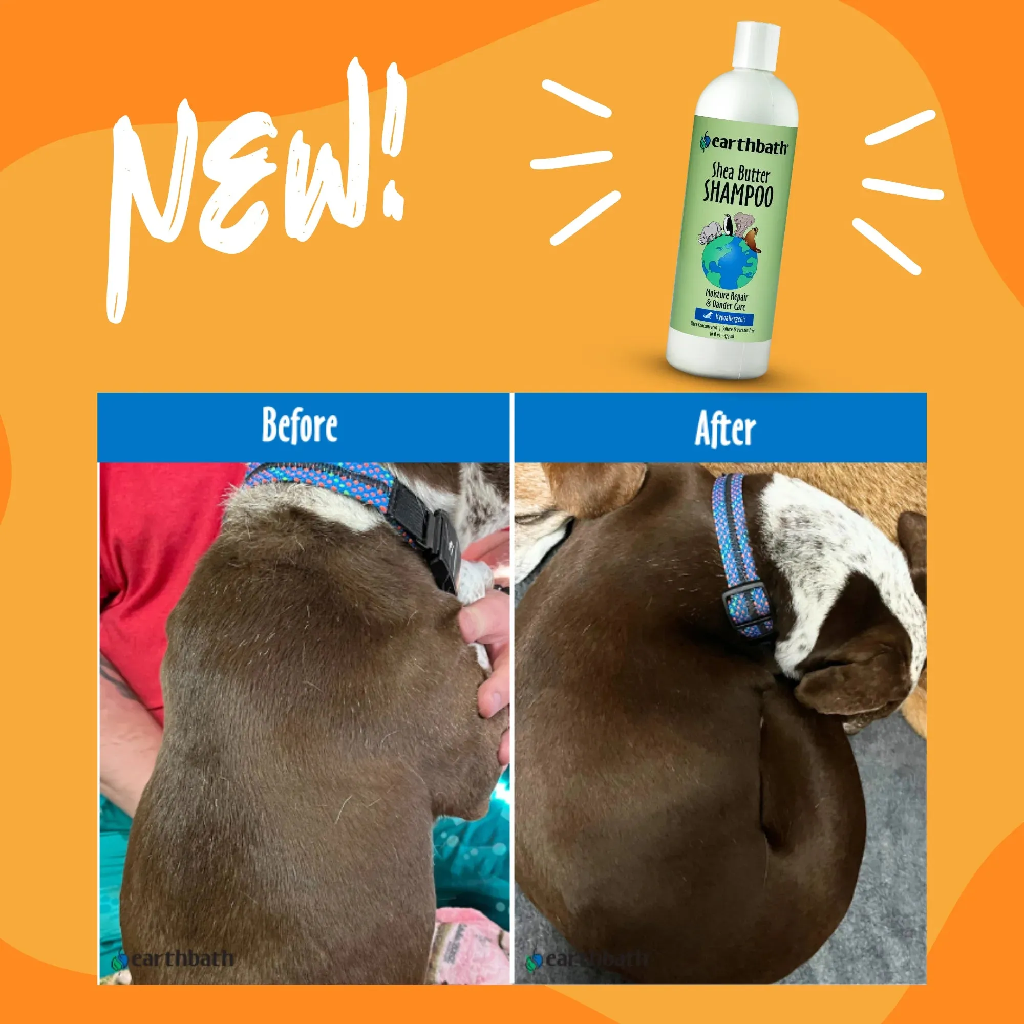 Earthbath Hypoallergenic Shea Butter Shampoo (Moisture Repair & Dander Care) for Dogs and Cats