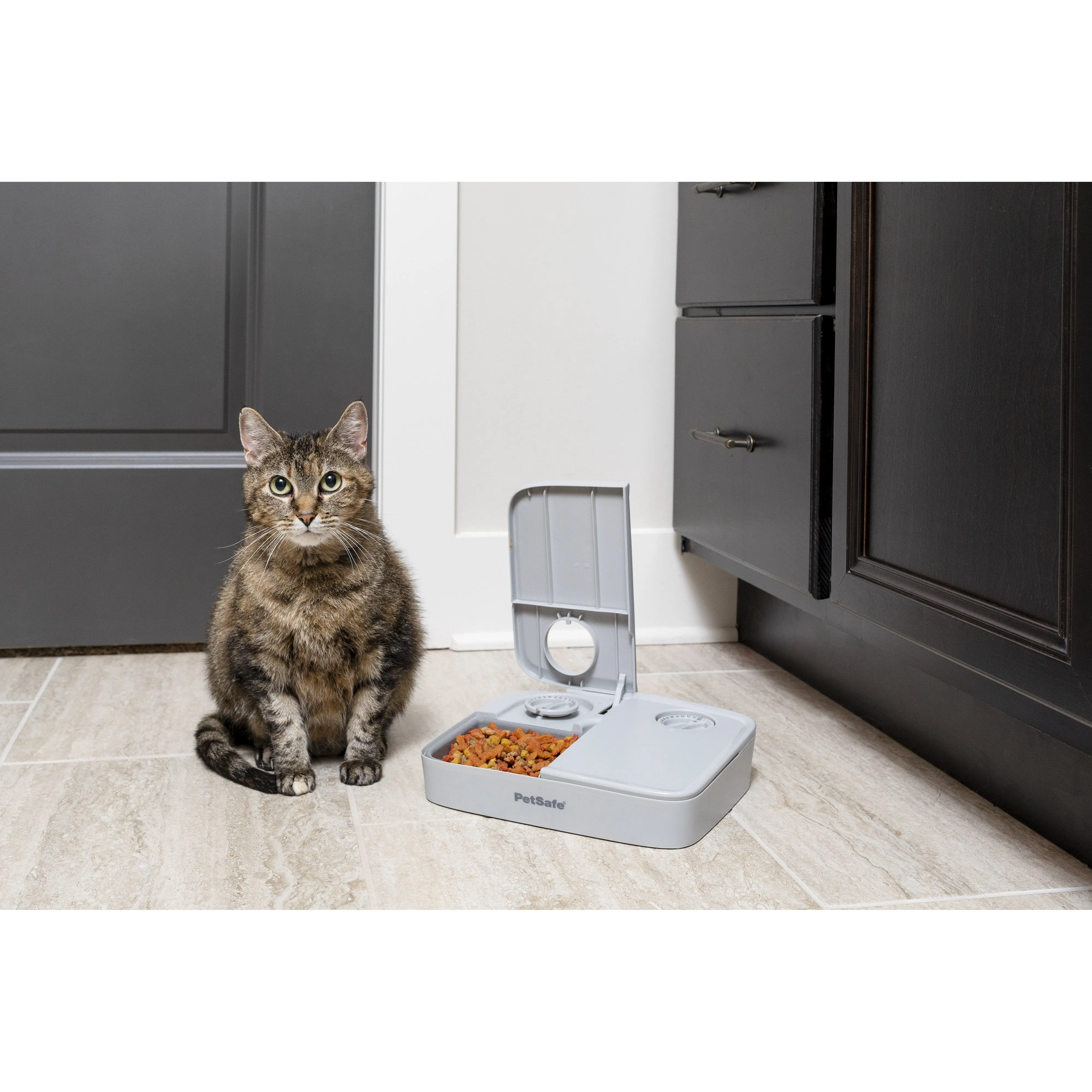 PetSafe Automatic Two Meal Pet Feeder for Dogs and Cats^^^