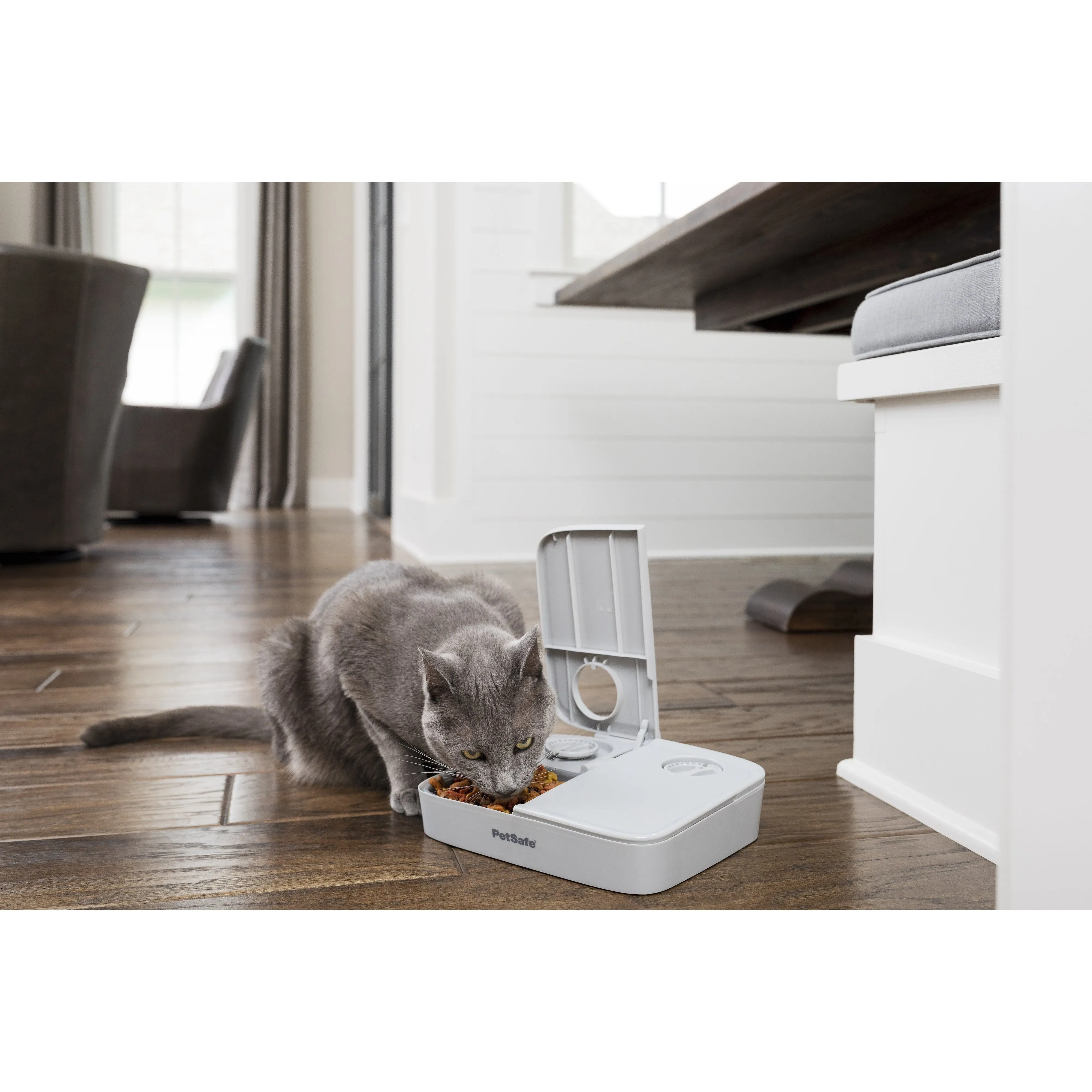 PetSafe Automatic Two Meal Pet Feeder for Dogs and Cats^^^