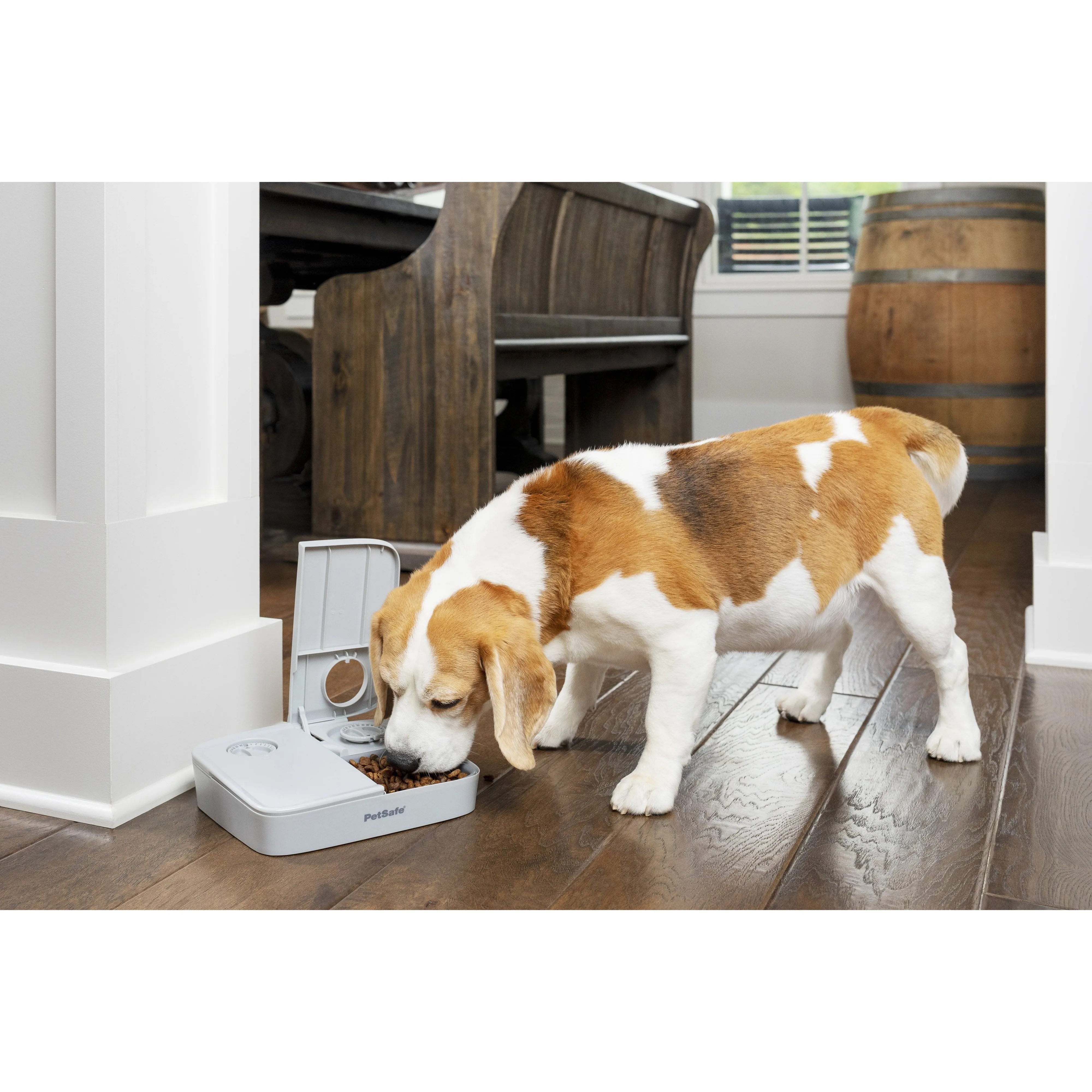 PetSafe Automatic Two Meal Pet Feeder for Dogs and Cats^^^