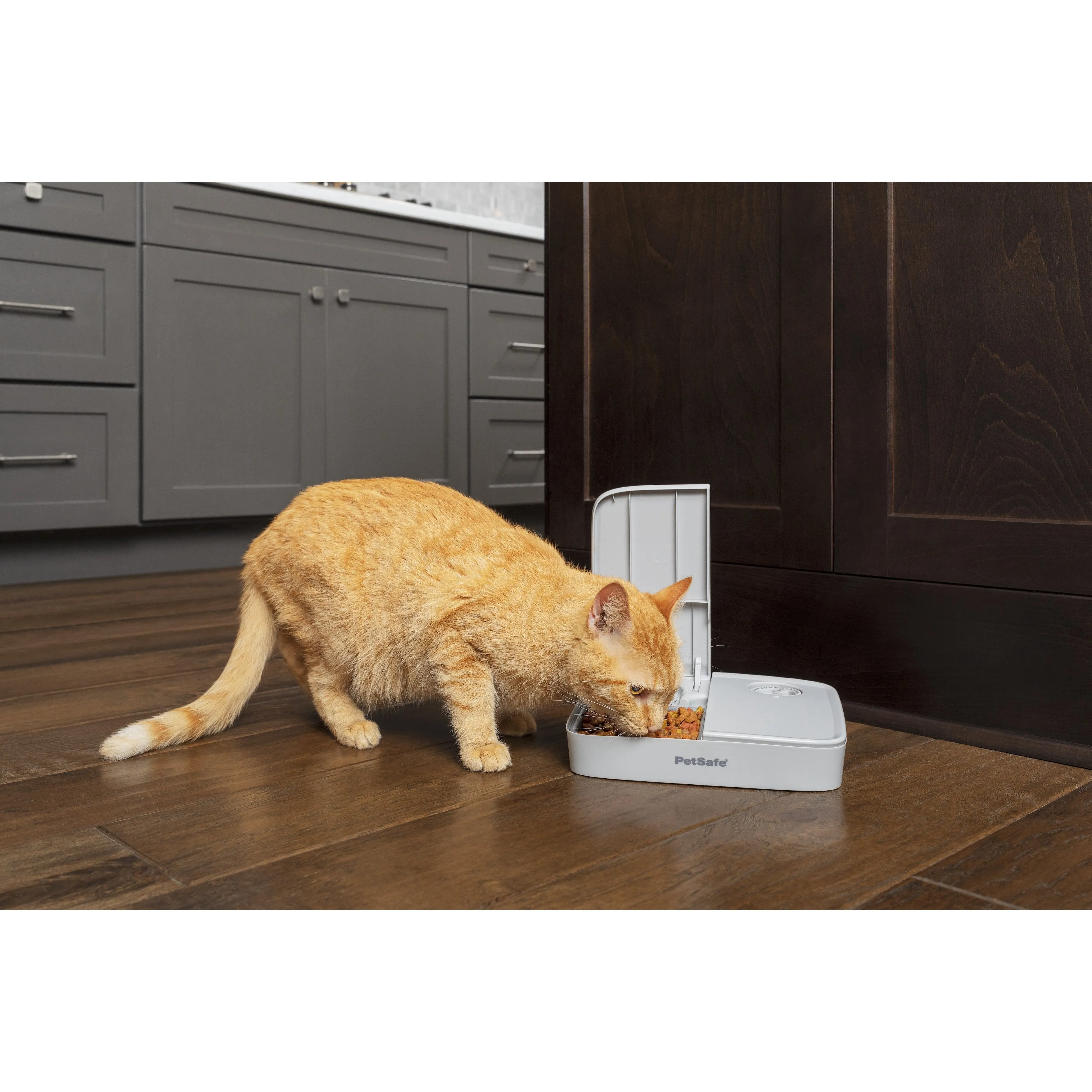 PetSafe Automatic Two Meal Pet Feeder for Dogs and Cats^^^