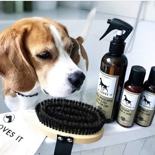 Shampoo Sensitive